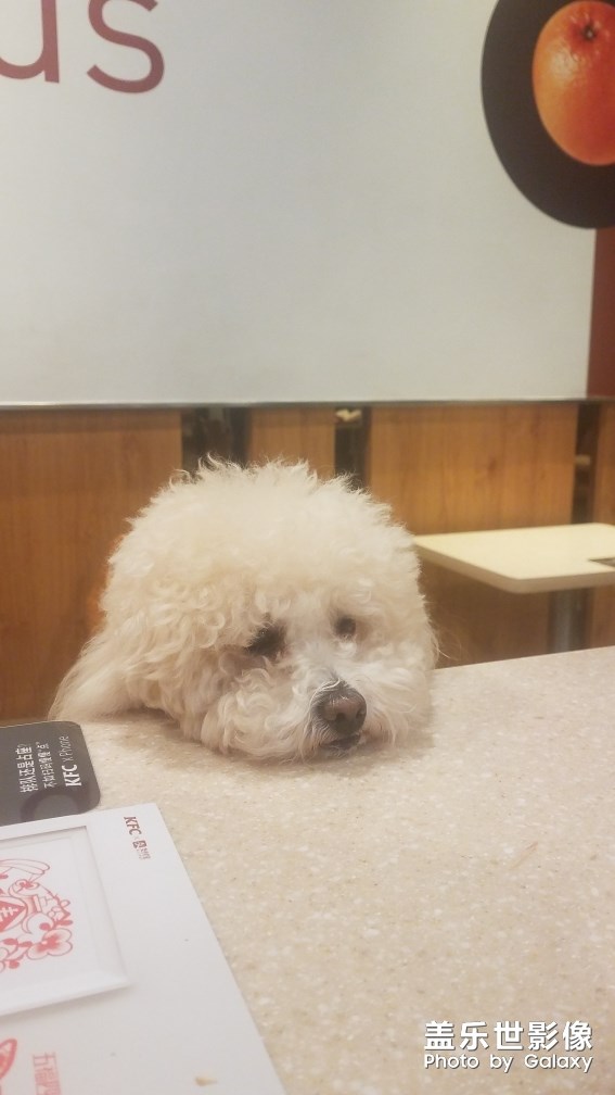 表情