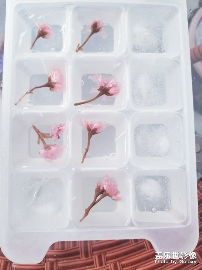 夏日炎炎櫻花冰