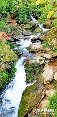 最夏天】+高山流水