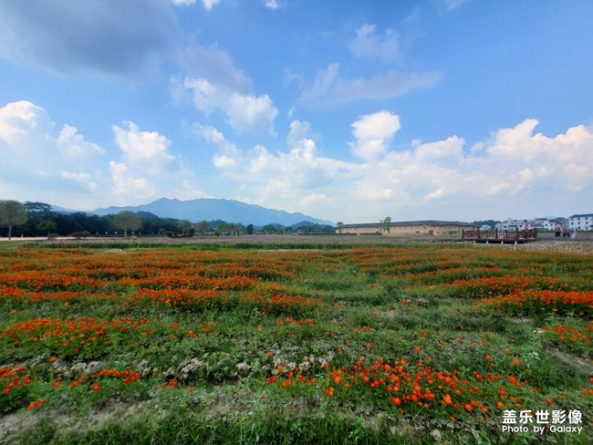 【每周星鮮事05】長(zhǎng)假將至你準(zhǔn)備好了嗎？