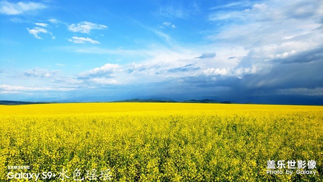 【每周星鮮事05】長(zhǎng)假將至你準(zhǔn)備好了嗎？