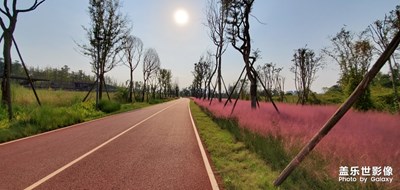 帶著我的小牛去騎行