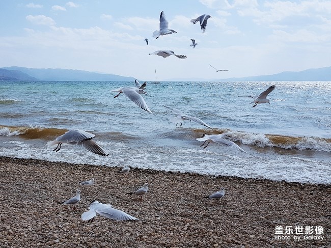 【每周星鮮事07】快來分享你家私房菜的做法吧