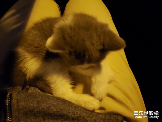 未央