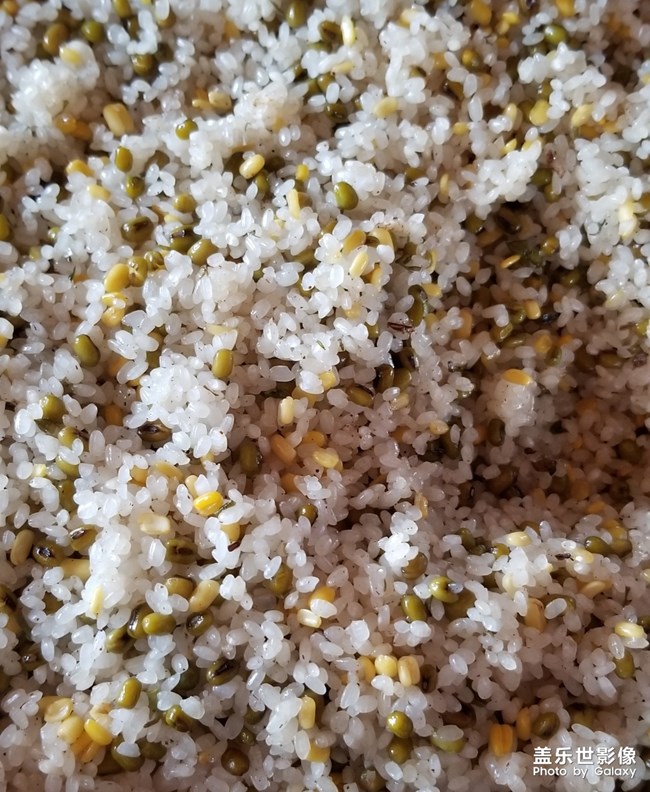 第一次學會包粽子