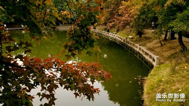 天平山紅楓之旅
