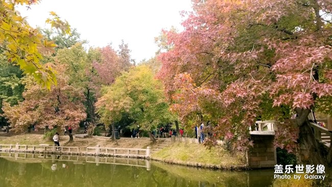 天平山紅楓之旅