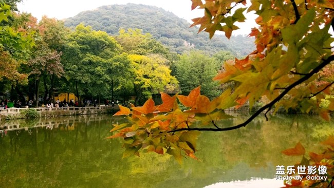 天平山紅楓之旅