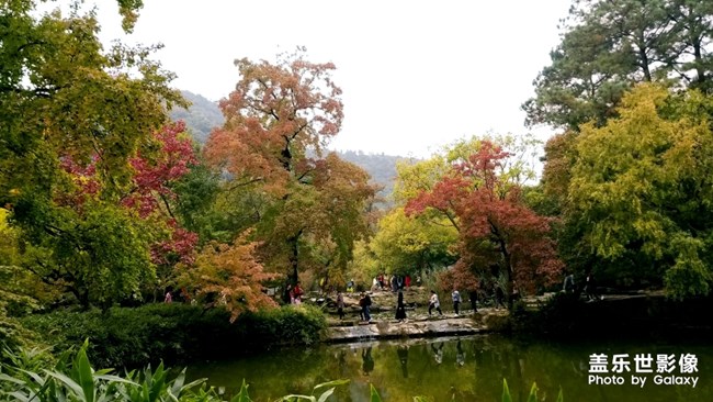 天平山紅楓之旅