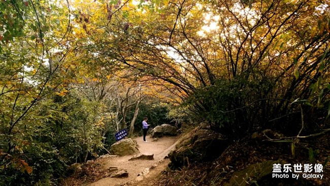 天平山紅楓之旅