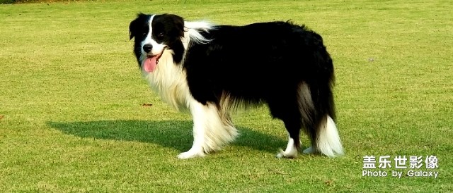 2歲了紀(jì)念下