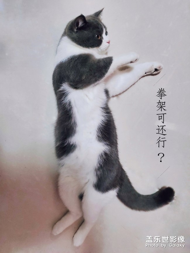 柔軟度