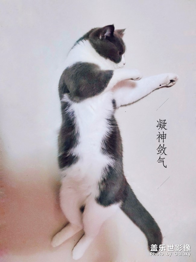 柔軟度