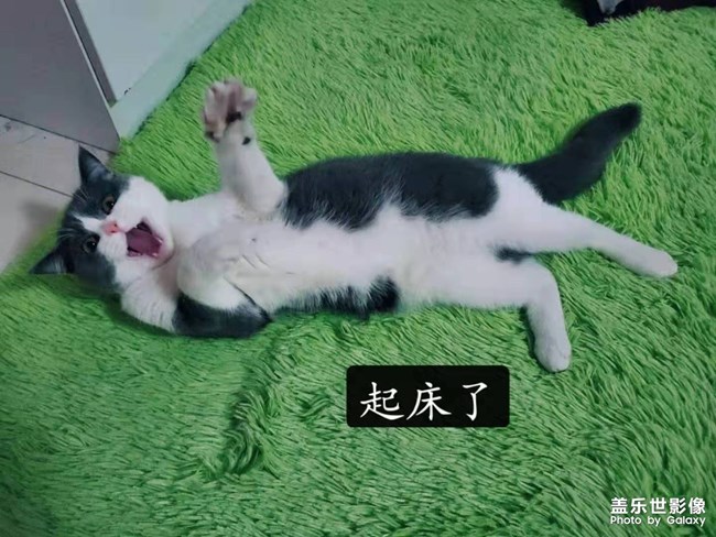 柔軟度