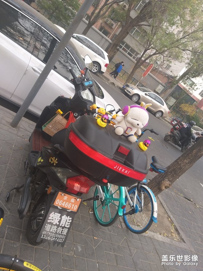 可愛