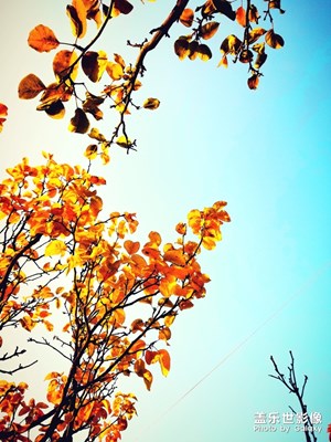 [色彩]+五色斑瀾