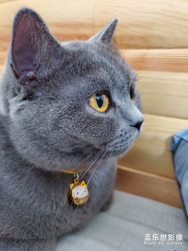 自己家主子，出自note10+