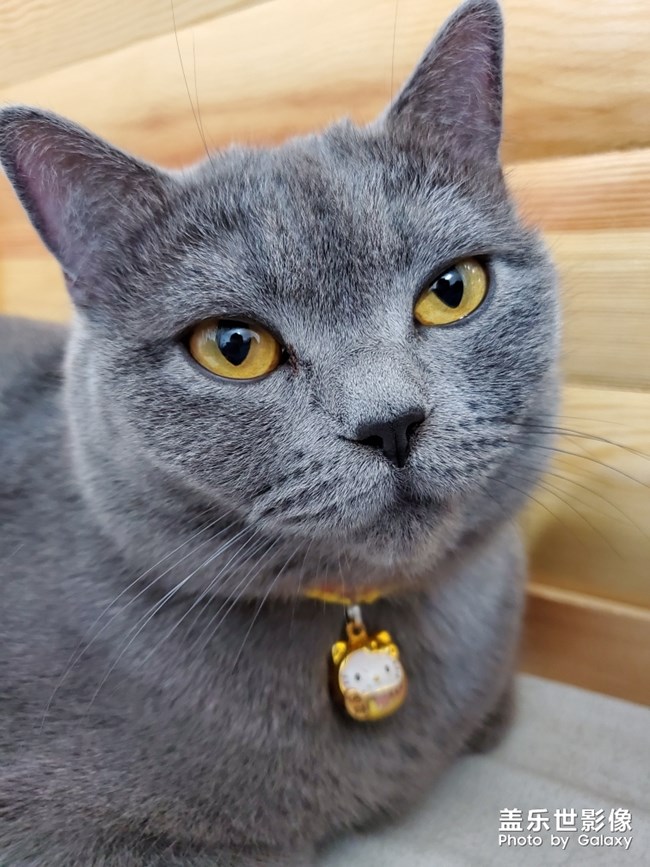 自己家主子，出自note10+