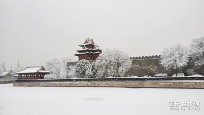 【鼠年吉祥】+瑞雪兆豐年