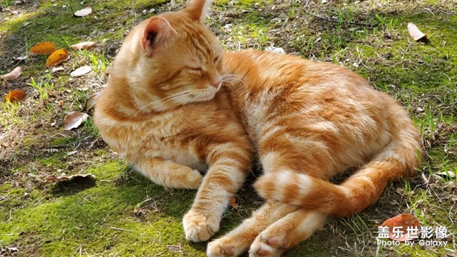 最近宅在家里的狀態(tài)