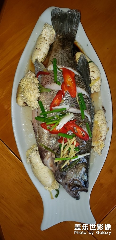 鱸魚(yú)