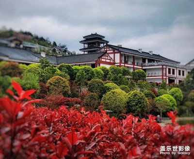 [最美瞬間]+新雨嫩芽蘇