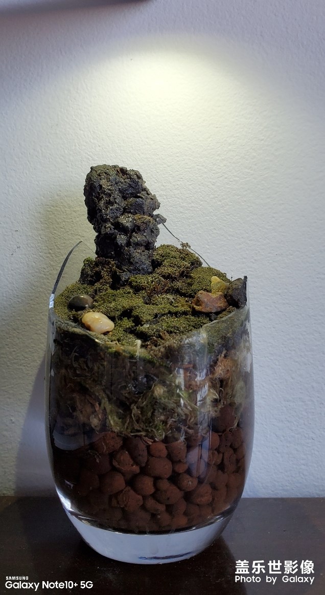 刷牙杯碎了，放個(gè)石頭進(jìn)去還能接著用