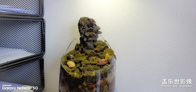 刷牙杯碎了，放個(gè)石頭進(jìn)去還能接著用