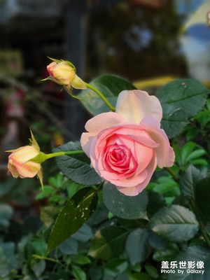 [享受生活]+旅途生活點(diǎn)滴