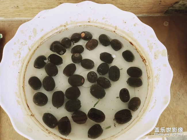 記錄小家伙的成長