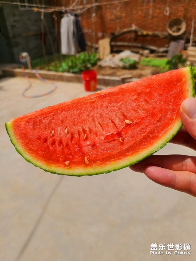 隨手一拍就是大片的感覺