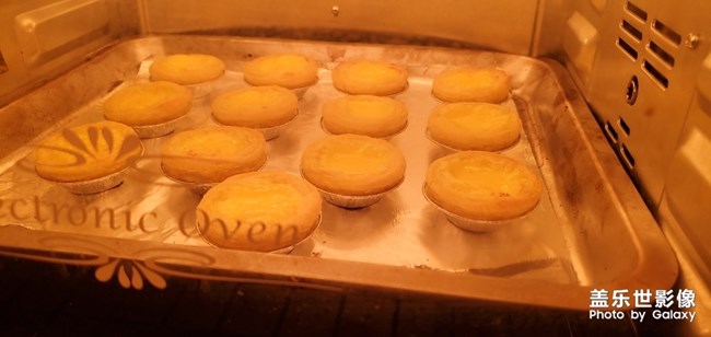 【深夜放毒】蛋撻的誘惑