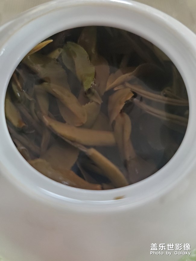 今年的白牡丹