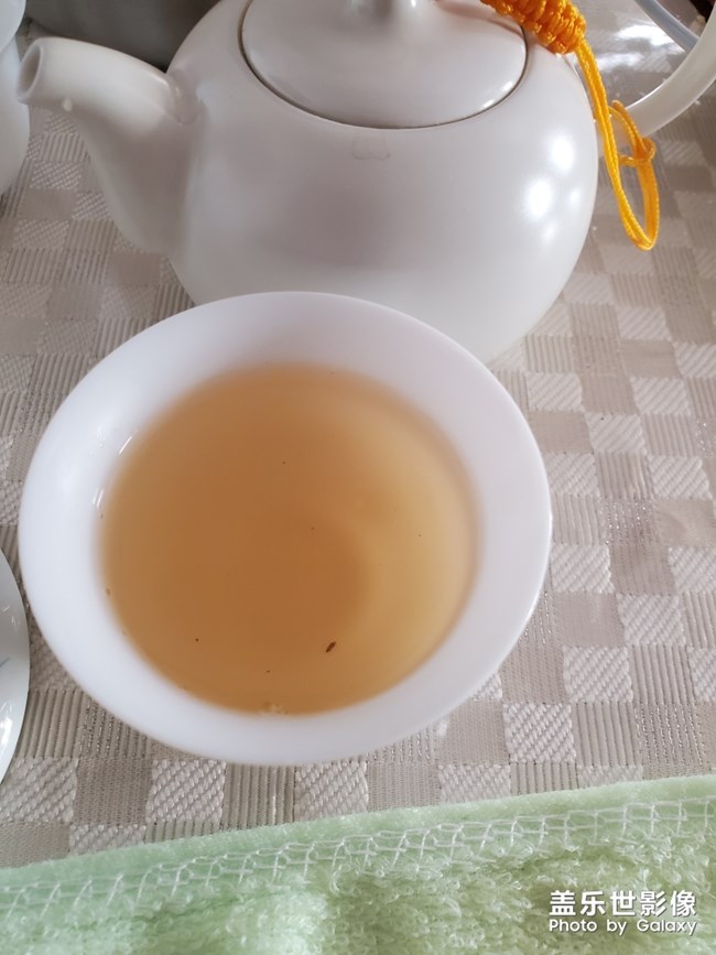 今年的白牡丹