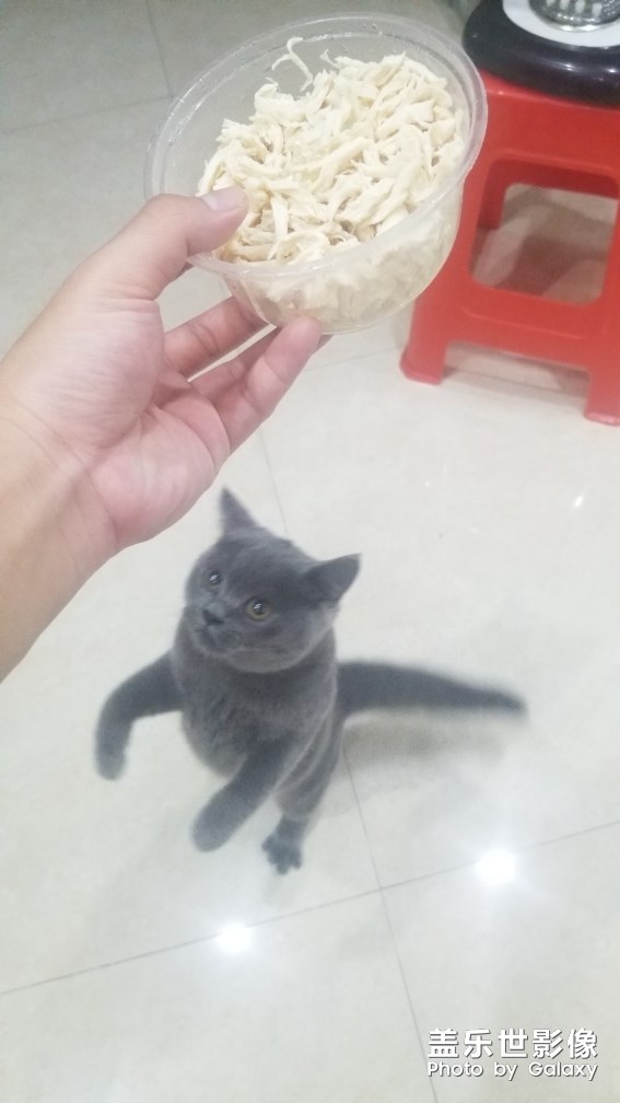 隨手拍