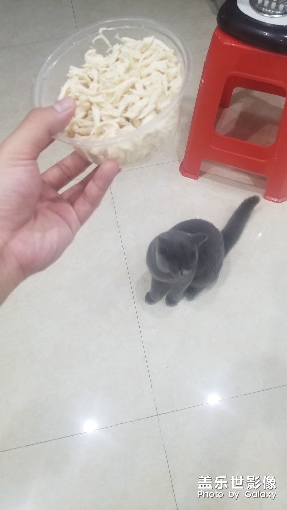 隨手拍