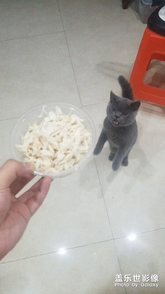 隨手拍
