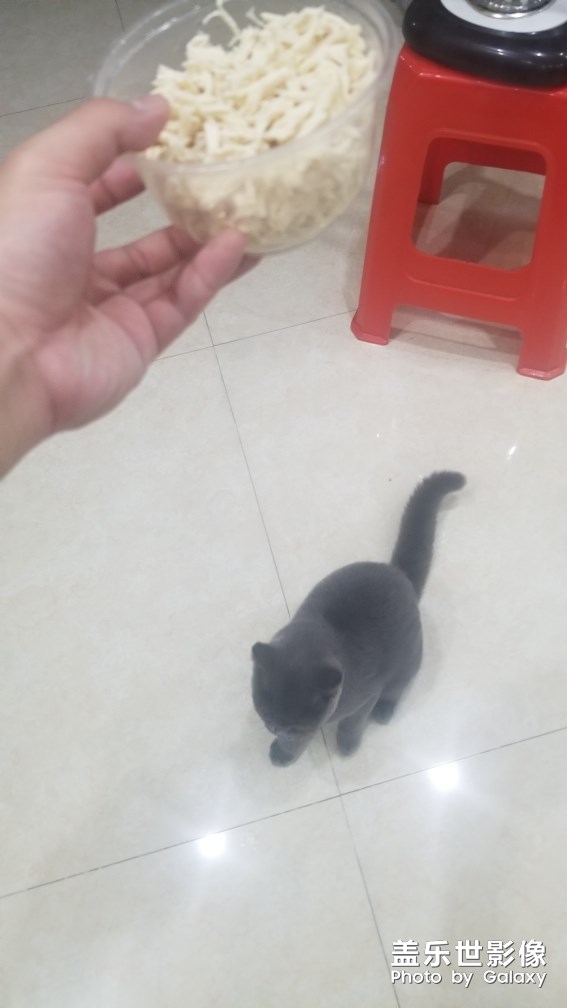 隨手拍