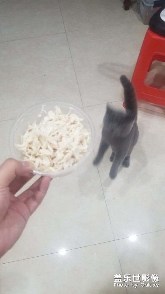 隨手拍