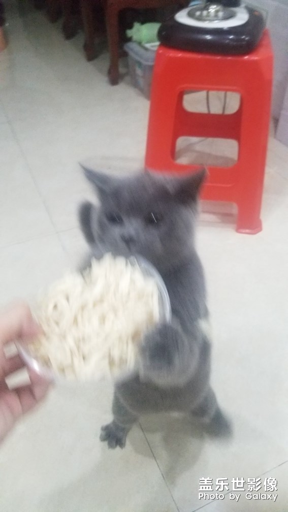 隨手拍