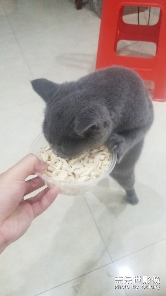 隨手拍