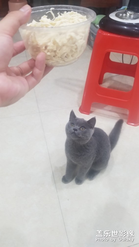 隨手拍