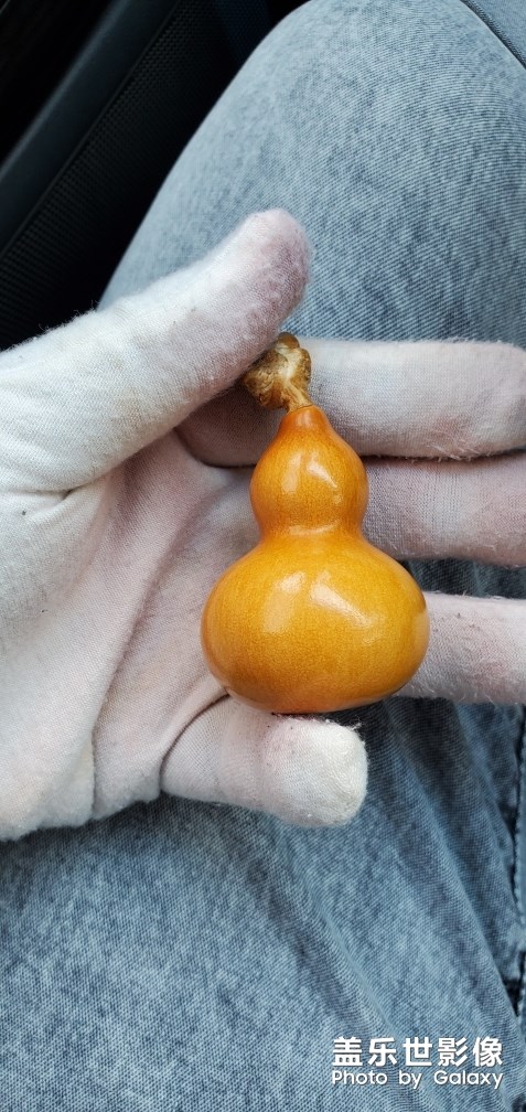 盤玩之趣