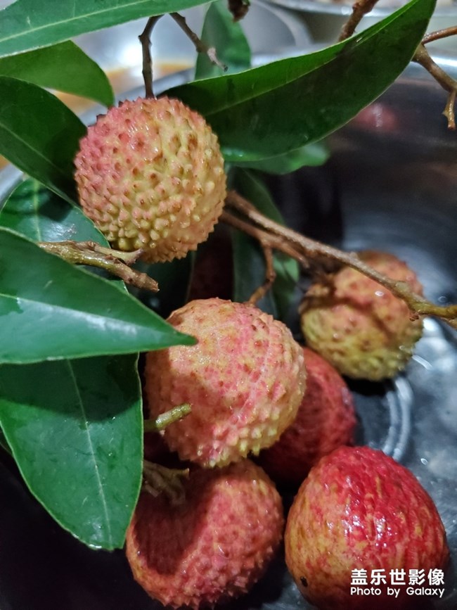 美味荔枝