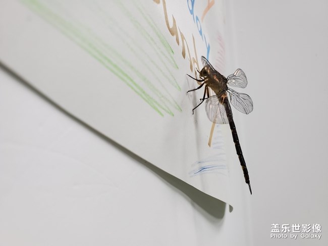 天都黑了，你怎么不回家