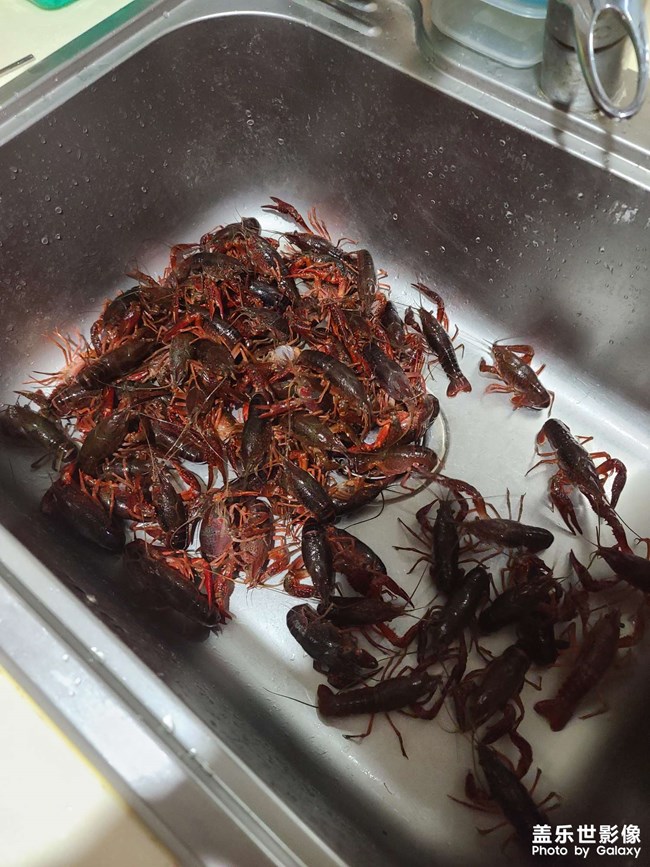 今天給家人做一個(gè)小龍蝦