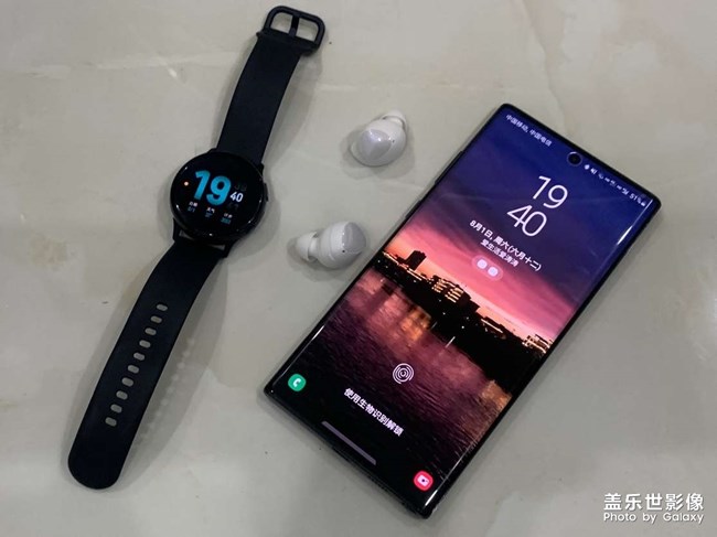 今日又添新成員