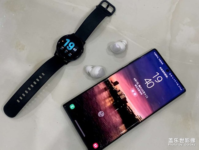 今日又添新成員