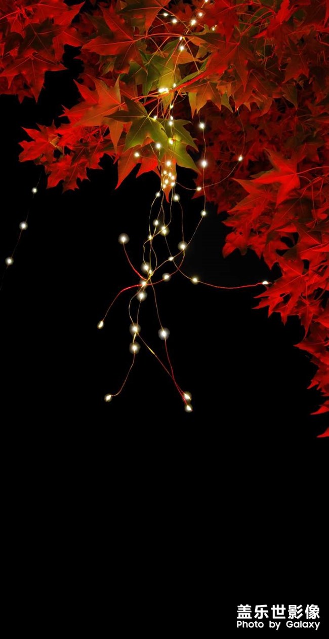 用s20+ 拍的壁紙