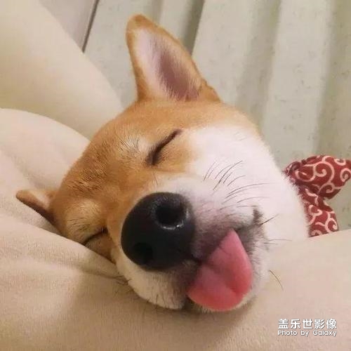可愛的小寶寶